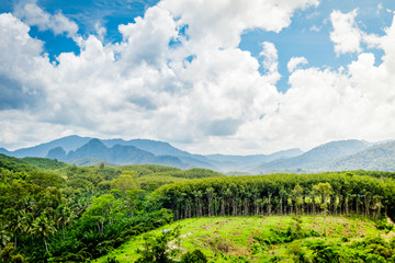 Fototapeta na wymiar Mountain scenery with tropical rain forest in the background during a sunny day at Ratchaprapha Dam at Khao Sok National Park, Surat Thani Province, Thailand