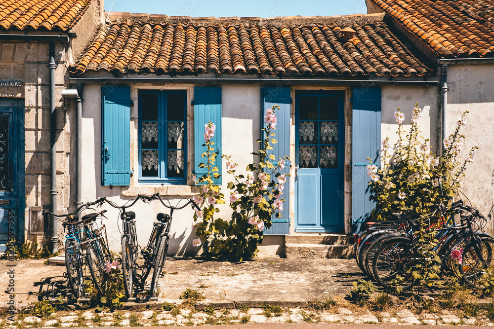 Wall mural White and Blue House