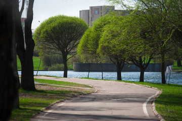 Trees near the water start to release leaves. The late spring begins, when everything wakes up from winter sleep. The park becomes green-green, saturated and radiant. Spring time. Update time.