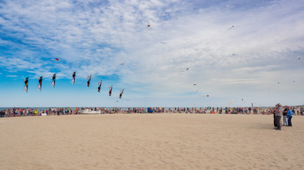 Performance of four-wire acrobatic kites revolution by the sea on the occasion of the international kite festival.