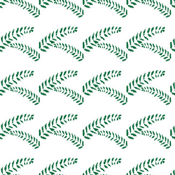 Yarrow Achilea Hand drawn leaves vector illustration.