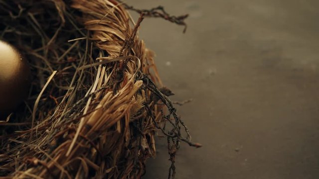 Golden egg inside nest