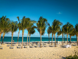 Tropical Beach Resort