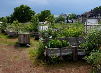 urbaner Gartenbau, Gärtnern in der Stadt, Hochbeete
