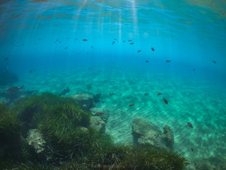 Fototapeta na wymiar Unterwasserwelten