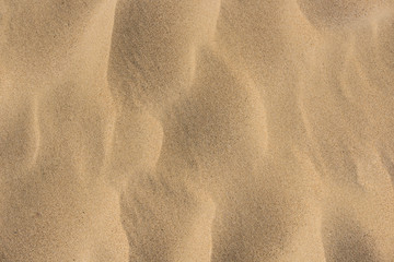 Fine beach sand