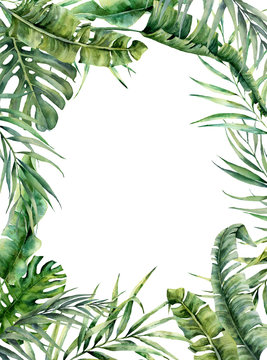 Watercolor tropical frame with exotic leaves. Hand painted floral illustration with banana, coconut and monstera branch isolated on white background for design, fabric or print.