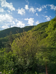 Fototapeta na wymiar Mountain Landscape