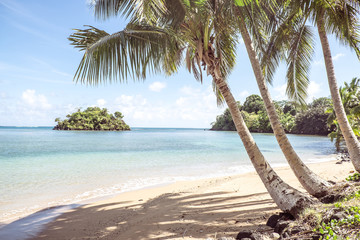 Idyllic tropical beach paradise with island and palm trees on Upolu, Samoa, South Pacific