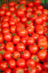 fresh, bright red and green tomatoes at the weekly market, can be used as background  - obrazy, fototapety, plakaty