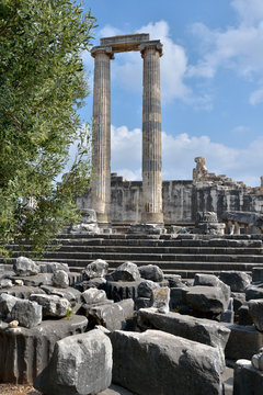 Ruined columns of ancient temple