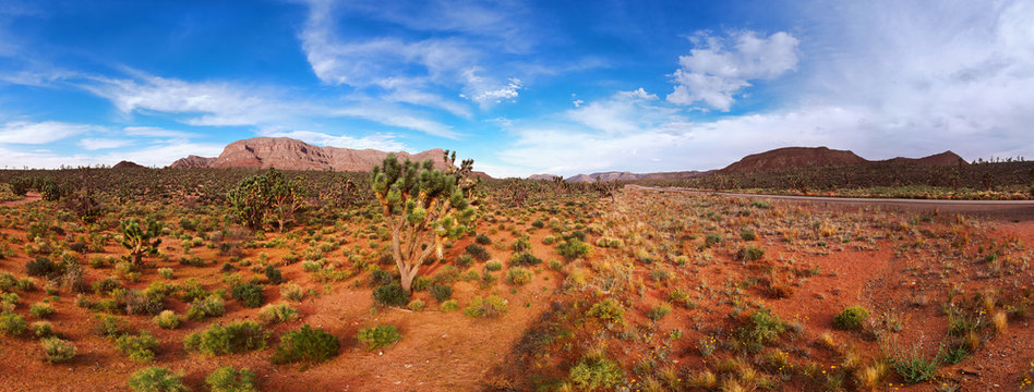 AERIAL VIEW OF DESERT, ROCKS, MOUNTAINS, ROAD AND CACTUSES IN ARIZONA, USA. DRONE SHOT, PANORAMA.