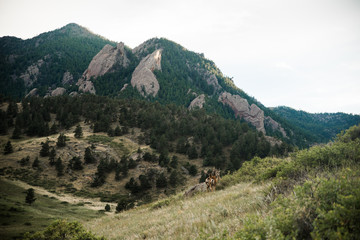 The Flatirons in Boulder, Colorado during summer. 