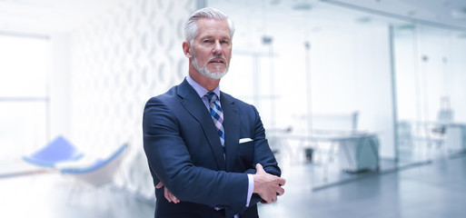 Senior businessman in his office