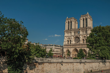Fototapeta na wymiar People, tree-lined Seine River and gothic Notre-Dame Cathedral at Paris. Known as the “City of Light”, is one of the most impressive world’s cultural center. Northern France.