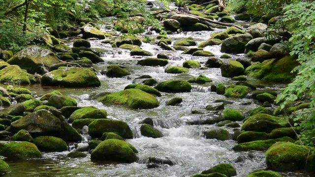 Water running down a mountain stream