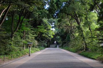 明治神宮