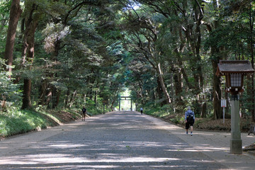 明治神宮