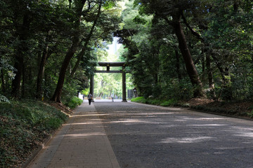 明治神宮