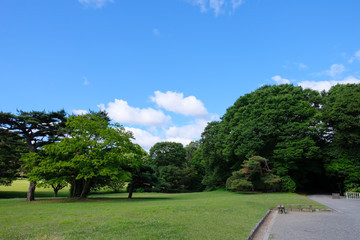 明治神宮