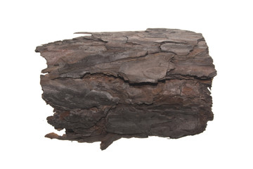 tree bark isolated on white background