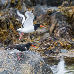 Gotta get outta here!