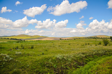 Fototapeta na wymiar Bright summer landscape, green grass and blue sky, Russia