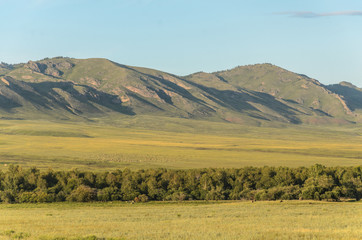 Fototapeta premium Sunny summer landscape, hills, forest, blue sky