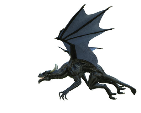 black dragon in a white background