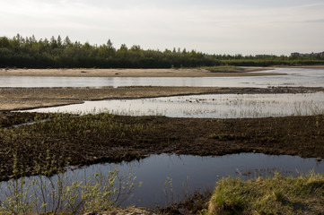Sand beach of the river with green shrubs and trees