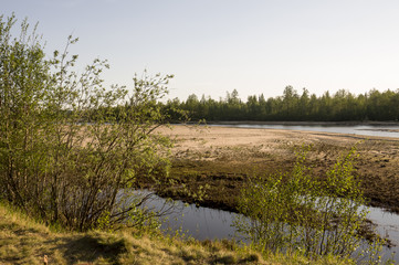 Sand beach of the river with green shrubs and trees