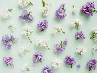 flower pattern background of lilac top view, flat lay. 