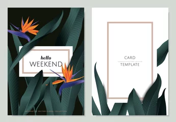 Selbstklebende Fototapeten Greeting/invitation card template design, Bird of paradise flowers with leaves on black and white background with frame © momosama
