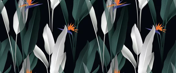 Poster Tropical plant seamless pattern, palm leaves and Bird of paradise flowers on black background © momosama