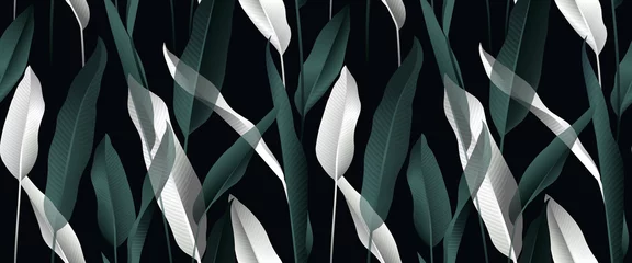 Poster Tropical plant seamless pattern, white and green Bird of paradise leaves on black background © momosama