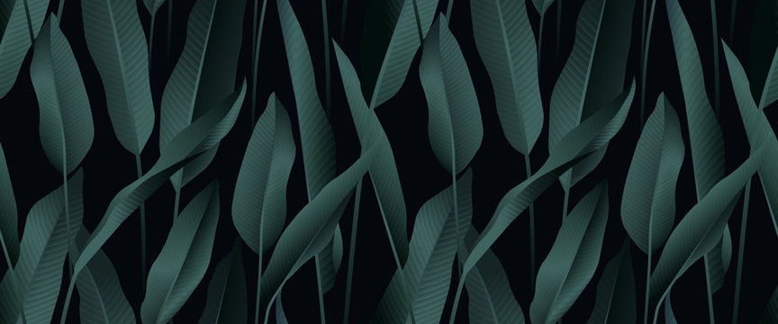 Tropical plant seamless pattern, Bird of paradise leaves on black background