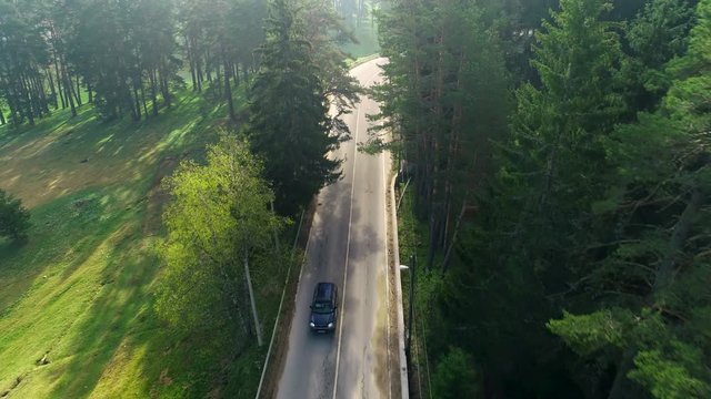 Aerial view of modern car mooving on road between trees.