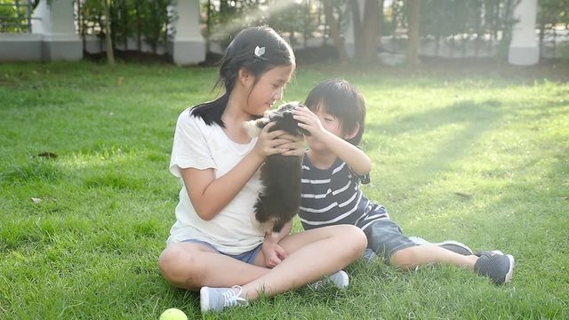 Happy Asian children playing with siberian husky dog in the garden slow motion 