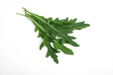 green fresh ruccola isolated on white background, close up studio shot