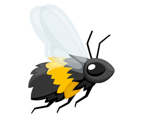 Illustration of bee. Honey flying bee. Cute character design in cartoon style. Vector illustration isolated on white background