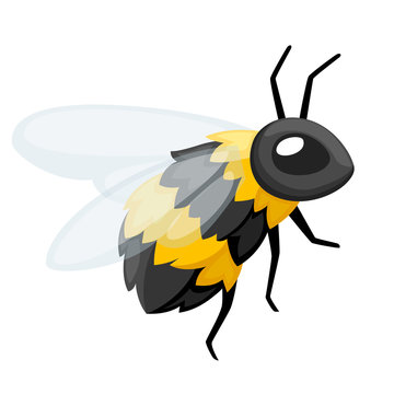 Illustration of bee. Honey flying bee. Cute character design in cartoon style. Vector illustration isolated on white background
