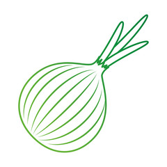 fresh onion vegetarian food vector illustration design