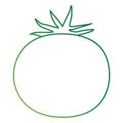 fresh tomato vegetarian food vector illustration design