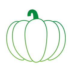 fresh pumpkin vegetarian food vector illustration design