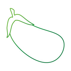 fresh eggplant vegetarian food vector illustration design