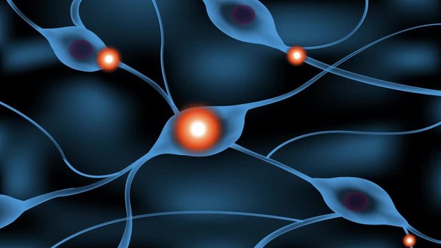 nerve system sending a signal graphic animation / Neuron