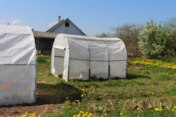 Fototapeta na wymiar Plastic greenhouses for growing vegetables on the farm field
