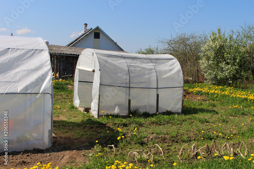 Plastic Greenhouses For Growing Vegetables On The Farm Field Stock Plastic Greenhouses For Growing Vegetables On The Farm Field
