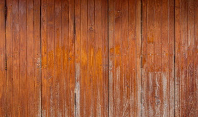 Wood Door for background.