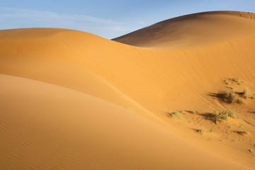 Fototapeta na wymiar sand hills with light and shadows in Sahara desert in Morocco